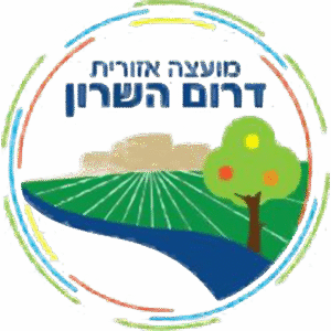 שותף 11